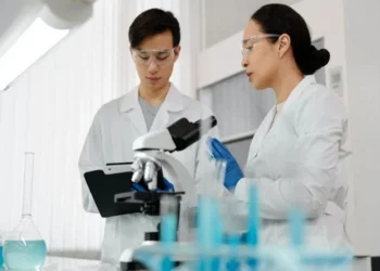 Researchers shed new light on role of DNA in human development