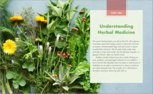 The Big Book of Herbal Medicine: 300 Natural Remedies for Health and Wellness - Image 5