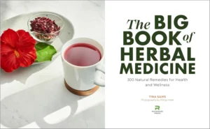 The Big Book of Herbal Medicine: 300 Natural Remedies for Health and Wellness - Image 7