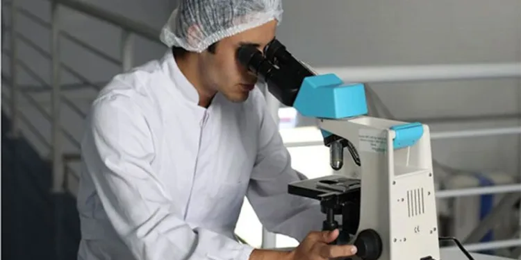 Study decodes why sickle cell patients suffer cognitive problems