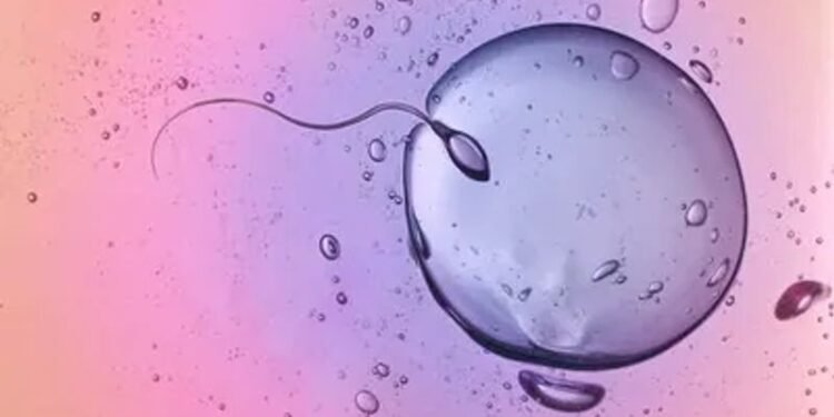 What to look for when finding a sperm donor online