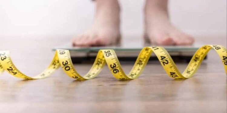 Study decodes brain`s role in development of obesity