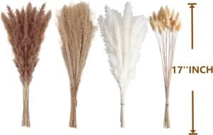 100 PCS Small Boho Pampas Grass, 17" Naturally Dried Pompas, Pampas Grass Decor for Wedding , Boho Party Decorations, Table Decor（Brown and White） - Image 2