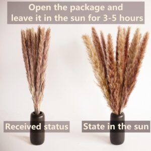 100 PCS Small Boho Pampas Grass, 17" Naturally Dried Pompas, Pampas Grass Decor for Wedding , Boho Party Decorations, Table Decor（Brown and White） - Image 5