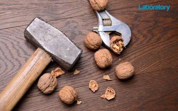 GDC uses a ‘sledgehammer to crack a nut’ on technicians