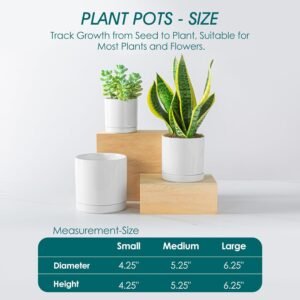 vancasso Ceramic Plant Pots, 3 Piece Planters for Indoor Plants, 4.25+5.25+6.25 Inch Flower Pots with Drainage, Plant Pots Indoor for Succulent, Pothos, Snake Plant and Money Tree, Etc (White) - Image 2