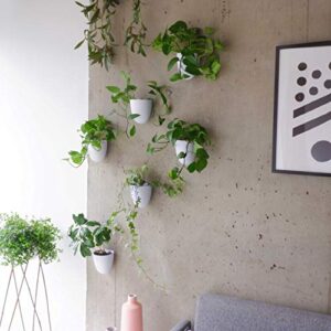 PlantPod Luxe - Self-Watering Wall Planters (Set of 6) - Easy to Water and Install - Lightweight - Design Your Own Vertical Garden - Wall Planters for Indoor Plants - Image 7