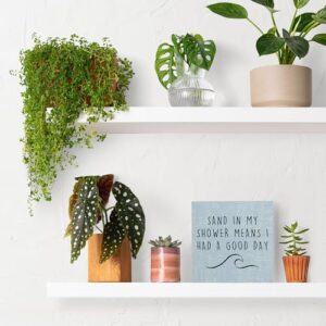 Qvapt Beach Wooden Sign,Coastal Bathroom Signs,Beach Theme Bathroom Decor,Sand in My Shower Means I Had a Great Day Wood Box Sign,Coastal Easter Decor for Home House Table Desk Shelf - Image 3