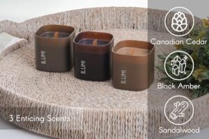Set of 3 Scented Soy Candles Gift Set | Dusk to Dawn Collection | 3 Scented Candles - Canadian Cedar, Black Amber, and Sandalwood | Crackling Wood Wick | Clean Burn | 50+HR Burn Time, 9.8oz Each - Image 3