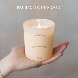 Benevolence LA Scented Candle | Eucalyptus, Fig & Sandalwood Candles for Home Scented | 8oz, 45-Hour Burn | Natural Wax, Cotton Wick | Malibu Sands Collection - Image 3