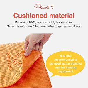 Primasole Folding Travel Yoga Mat Foldable light weight Easy to carry to Workout Fitness Class Beach, Park,Picnics 4mm thick Earth Brown Gray Color PSS91NH025A - Image 5