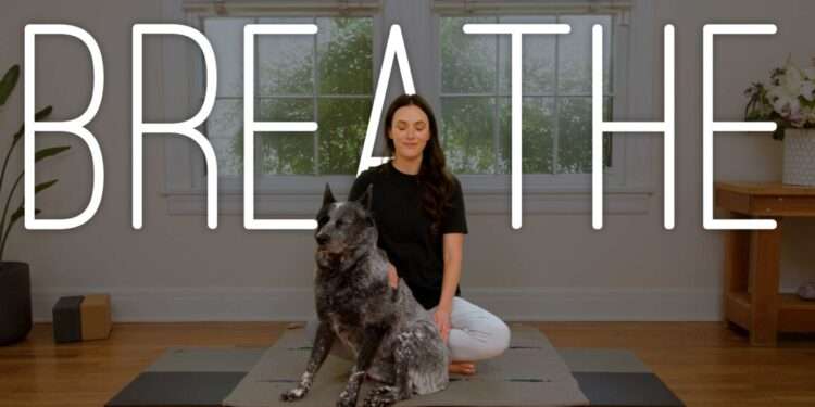 5 Minute Calming Breathwork | Yoga With Adriene