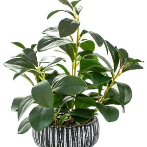 AlphaAcc Artificial Plants Decor Greenery Fake Succulents Indoor Potted Fake Plant with Rustic Black Clay Planter for Farmhouse Room Bathroom Bedroom Kitchen Office Table Desk Decor