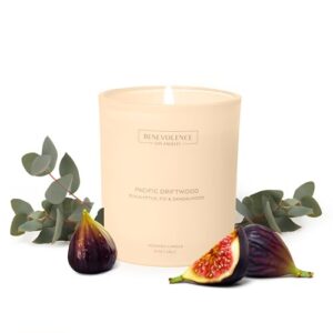 Benevolence LA Scented Candle | Eucalyptus, Fig & Sandalwood Candles for Home Scented | 8oz, 45-Hour Burn | Natural Wax, Cotton Wick | Malibu Sands Collection - Image 2
