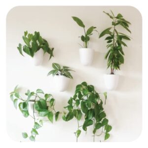 PlantPod Luxe – Self-Watering Wall Planters (Set of 6) – Easy to Water and Install – Lightweight – Design Your Own Vertical Garden – Wall Planters for Indoor Plants