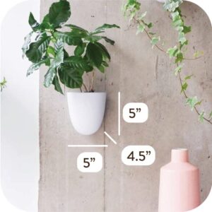 PlantPod Luxe - Self-Watering Wall Planters (Set of 6) - Easy to Water and Install - Lightweight - Design Your Own Vertical Garden - Wall Planters for Indoor Plants - Image 2