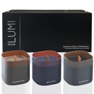 Set of 3 Scented Soy Candles Gift Set | Dusk to Dawn Collection | 3 Scented Candles – Canadian Cedar, Black Amber, and Sandalwood | Crackling Wood Wick | Clean Burn | 50+HR Burn Time, 9.8oz Each