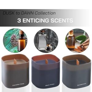 Set of 3 Scented Soy Candles Gift Set | Dusk to Dawn Collection | 3 Scented Candles - Canadian Cedar, Black Amber, and Sandalwood | Crackling Wood Wick | Clean Burn | 50+HR Burn Time, 9.8oz Each - Image 2