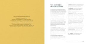 Ayurveda Beginner's Guide: Essential Ayurvedic Principles and Practices to Balance and Heal Naturally - Image 8