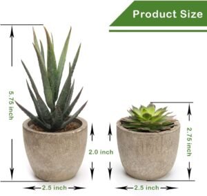 Coitak Artificial Succulent Plants Potted, Assorted Decorative Faux Succulent Potted Fake Cactus Cacti Plants with Pots, Set of 5 - Image 3