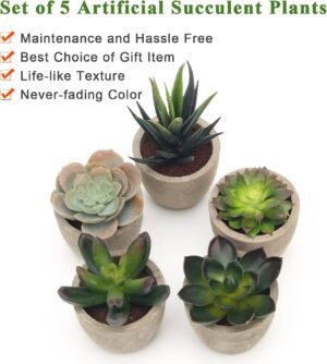 Coitak Artificial Succulent Plants Potted, Assorted Decorative Faux Succulent Potted Fake Cactus Cacti Plants with Pots, Set of 5 - Image 5