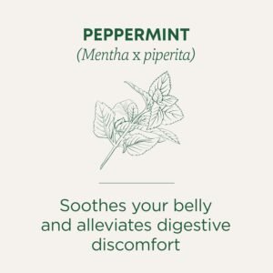 Traditional Medicinals Tea, Organic Peppermint, Soothes Your Belly, Refreshing & Minty, 96 Tea Bags (6 Pack) - Image 4