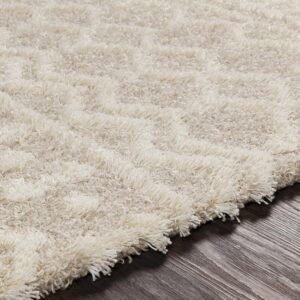 Livabliss Hapsburg Moroccan Shag Area Rug, 5'3" x 7'3", Beige - Image 6