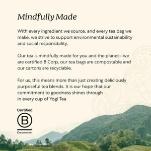 Yogi Energy Variety (3 Pack) Organic Sampler & Tea Gift Set – Contains Caffeine – 48 Tea Bags - Image 7