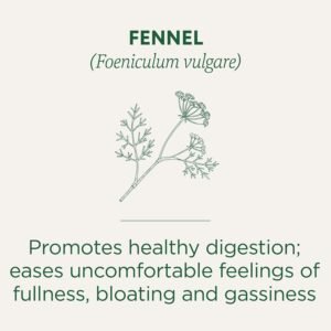 Traditional Medicinals Organic Fennel Tea, 16 Count - Image 4