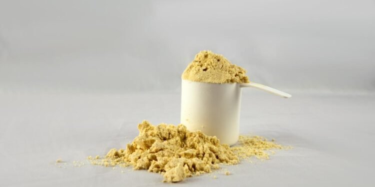 Plant Protein Powders: Clean Fuel for the Indian Fitness Journey!
