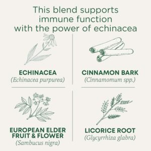 Traditional Medicinals Tea, Organic Immune Zoom Elderberry Echinacea, Supports Immune Function, 16 Tea Bags - Image 4