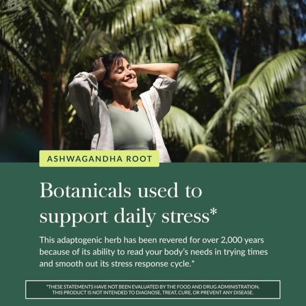 🌿 Gaia Herbs Ashwagandha Root - Stress Relief & Immune Support Supplement - Supports Balanced Energy Levels and Positive Outlook - 120 Vegan Liquid Phyto Capsules (1 Pack) – Immunity, Bone & Wellness Support - Image 5