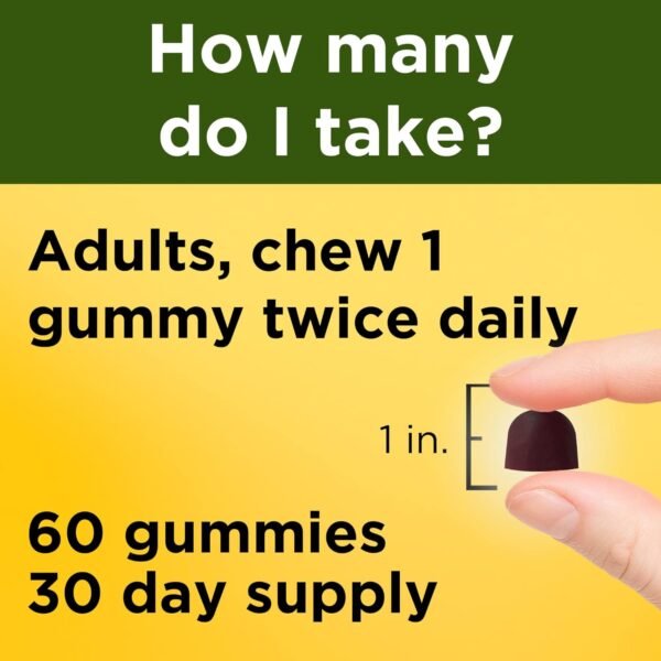 🌿 Nature Made Ashwagandha Gummies, Vegan, KSM 66 Ashwagandha for Stress Support, 60 Count, 30 Day Supply – Immunity, Bone & Wellness Support - Image 4