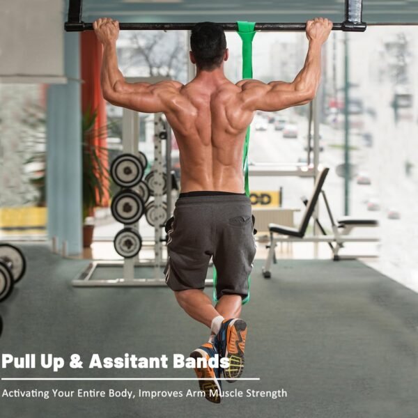 🌿 Resistance Bands, Pull Up Assist Bands - Workout Bands, Eexercise Bands, Long Resistance Bands Set for Working Out, Fitness, Training, Physical Therapy for Men Women – Immunity, Bone & Wellness Support - Image 3