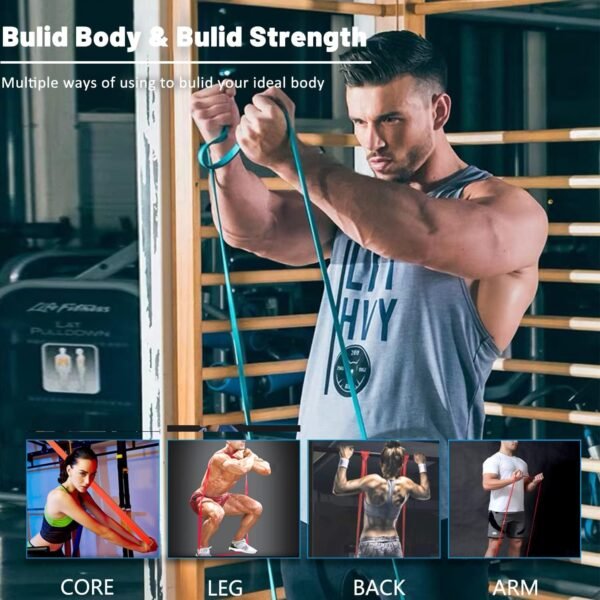 🌿 Resistance Bands, Pull Up Assist Bands - Workout Bands, Eexercise Bands, Long Resistance Bands Set for Working Out, Fitness, Training, Physical Therapy for Men Women – Immunity, Bone & Wellness Support - Image 4