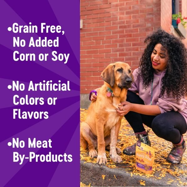 🌿 Wellness Puppy Treats, Natural, Training Treat, Grain Free, Soft Lamb & Salmon (8 Ounce Bag) – Immunity, Bone & Wellness Support - Image 7
