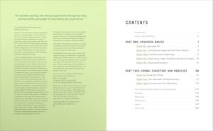 Ayurvedic Herbal Medicine for Beginners: More Than 100 Remedies for Wellness and Balance - Image 3