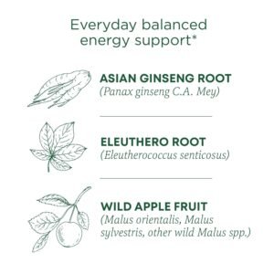 Traditional Medicinals Tea, Organic Stress Ease Focus, with Adaptogens, Everyday Balanced Energy, Ginseng Wild Apple Mint, 16 Tea Bags - Image 4