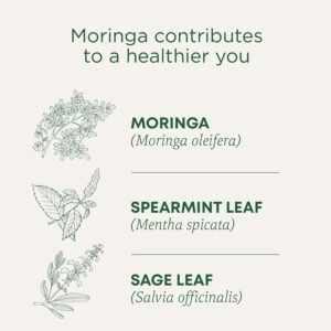 Traditional Medicinals Tea, Organic Moringa, Everyday Wellness, with Spearmint & Sage, 16 Tea Bags - Image 5
