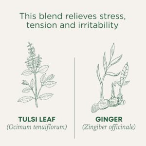 Traditional Medicinals Tea, Organic Tulsi & Ginger, Relieves Stress, Tension, & Irritability, 96 Tea Bags (6 Pack) - Image 5