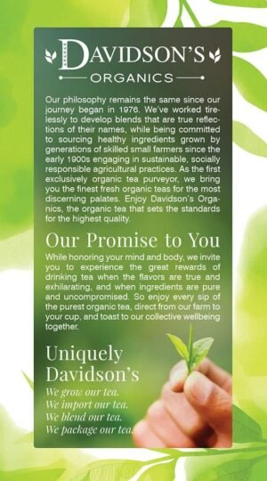 Davidson's Organics, Sun,Moon and Stars, 25-count Tea Bags, Pack of 6 - Image 3