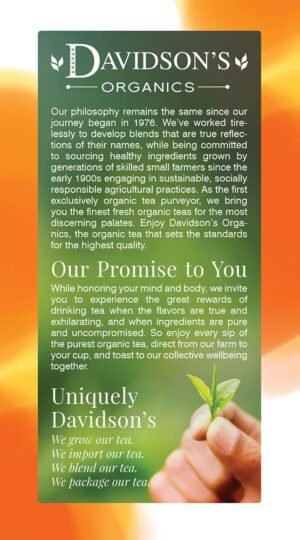 Davidson's Organics, Wild Strawberry, 25-count Tea Bags, Pack of 6 - Image 3