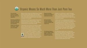 Davidson's Organics, Ayurvedic Infusions, Energize, 100-count Individually Wrapped Tea Bags - Image 3