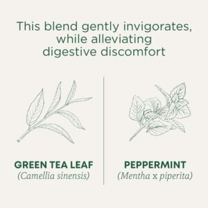 Traditional Medicinals Organic Green Tea Peppermint Tea, 16 Tea Bags - Image 5