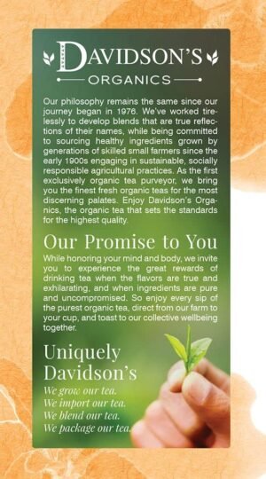 Davidson's Organics, Tulsi Mango Peach, 25-count Tea Bags, Pack of 6 - Image 3