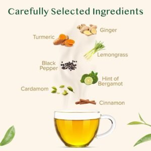 VAHDAM, Turmeric Spice Herbal Tea Bags (15 Count) Caffeine Free, Non GMO| 100% Pure Herbal Tisane - Savory & Spicy | Individually Wrapped Pyramid Tea Bags | Direct from Source - Image 3