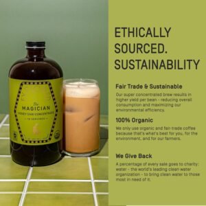 Explorer Organic Chai Tea Concentrate, Magician Spiced Honey, Drink Iced or Hot, 32 fl oz, Makes 8 Cups - Image 8