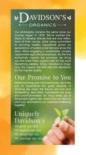 Davidson's Organics, Lemon Ginger, 25-count Tea Bags, Pack of 6 - Image 3