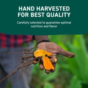 HANDPICK, Organic Turmeric Powder with Curcumin (397g/14oz) | Authentic Indian Origin | Gluten Free | Made from Turmeric Root - Image 6