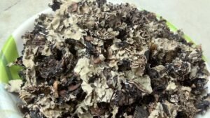 DKM Namo Organics - Stone Flower Spices - 50 Gm - (Dagad Phool, Kalpasi, Patthar Ke Phool) for biryani - Image 3